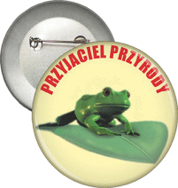 Przypinki 
