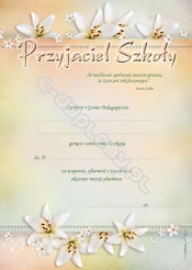 Dyplom Przyjaciela Szkoły