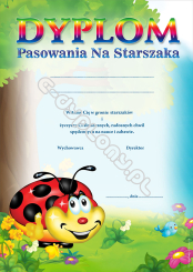 Dyplom pasowania na starszaka (biedronka)