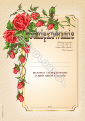 Podziękowanie A4