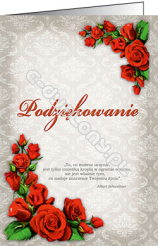 Podziękowanie B5